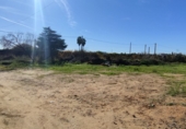 Terreno no urbanizable en venta en la España, Villanueva del Ariscal, ref: TR63533 foto