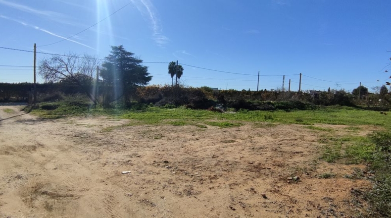 Sevilla - Villanueva del Ariscal - 928m2