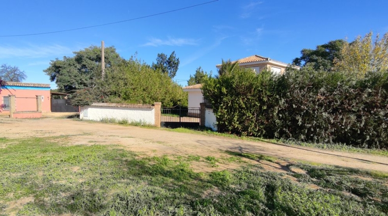Sevilla - Villanueva del Ariscal - 928m2