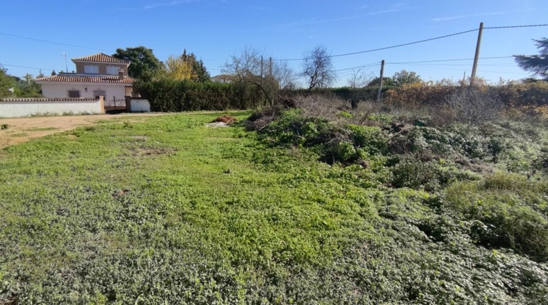 Sevilla - Villanueva del Ariscal - 928m2