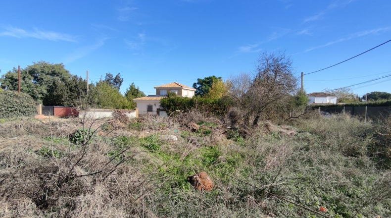 Sevilla - Villanueva del Ariscal - 928m2