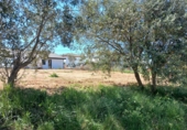 Sòl urbà en venda a Santa Eulàlia de Ronçana ref.: TR403319 foto