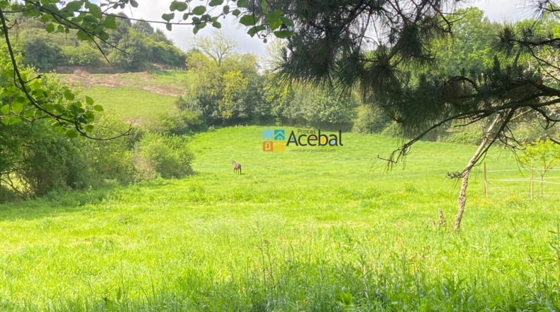 Astúries - Caraveo - 2015m2