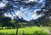 Land suitable for development for sale in Gijón ref: TR103958 photo