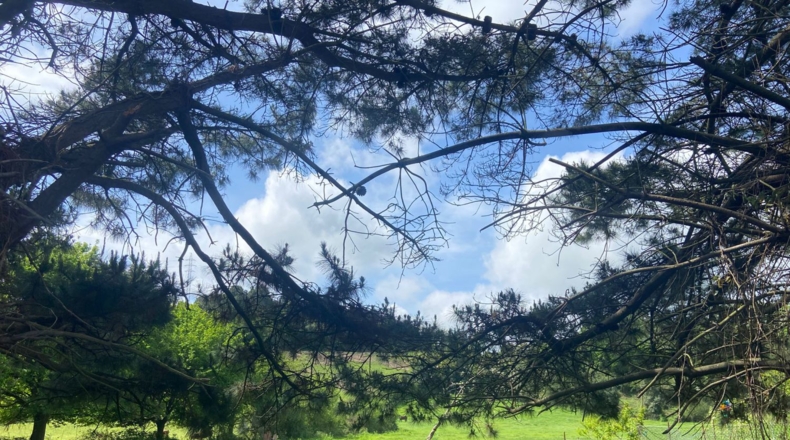 Astúries - Caraveo - 2015m2