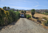 Masia with land for sale in Coín ref: TR403332 photo