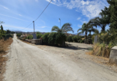 Masia with land for sale in Coín ref: TR403332 photo