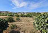 Masia with land for sale in Coín ref: TR403332 photo