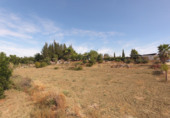 Masia with land for sale in Coín ref: TR403332 photo