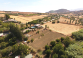 Masia with land for sale in Coín ref: TR403332 photo