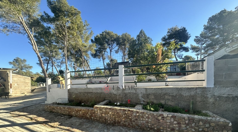 Valencia - Alfara de la Baronía - 1484m2