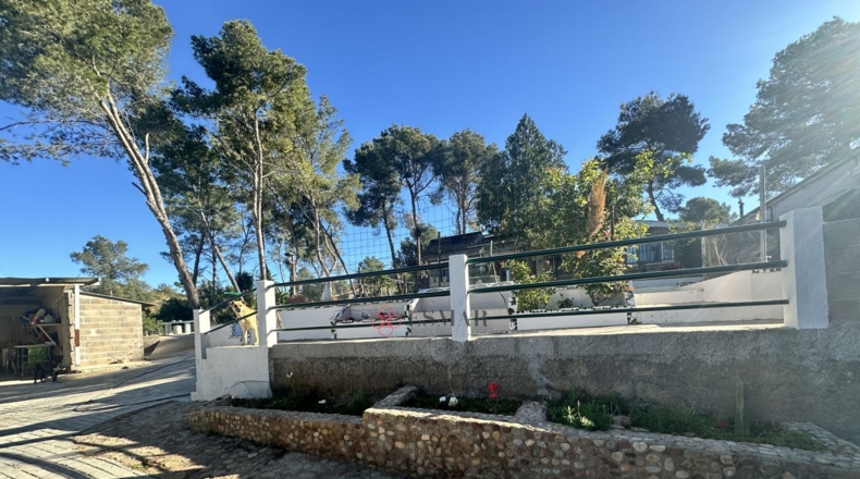 Valencia - Alfara de la Baronía - 1484m2
