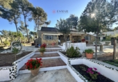 Detached villa with land for sale in Alfara de la Baronia ref: TR176503 photo