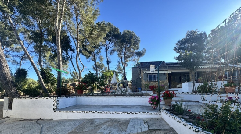 Valencia - Alfara de la Baronía - 1484m2