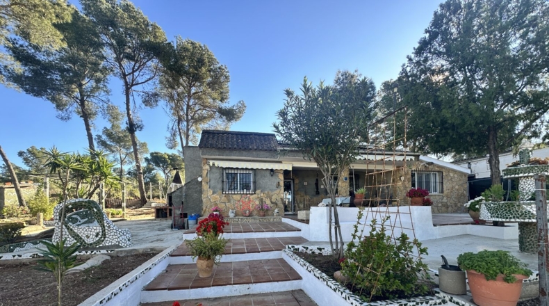 Valencia - Alfara de la Baronía - 1484m2