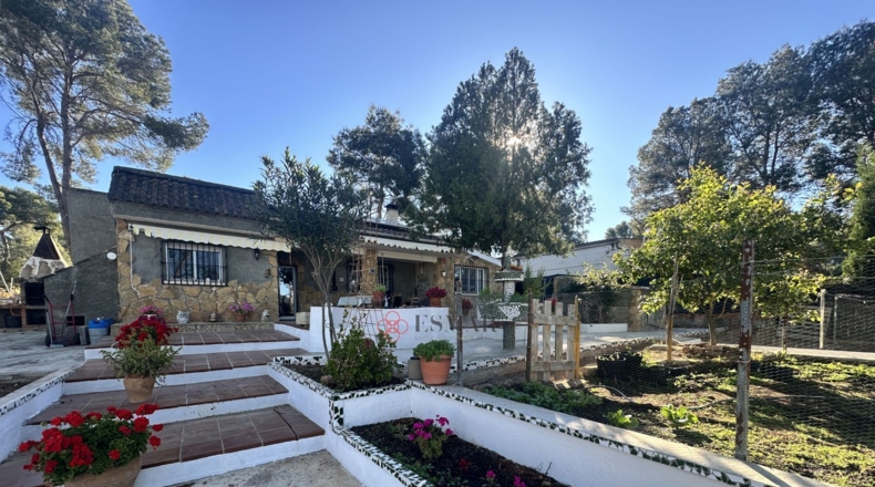 Valencia - Alfara de la Baronía - 1484m2
