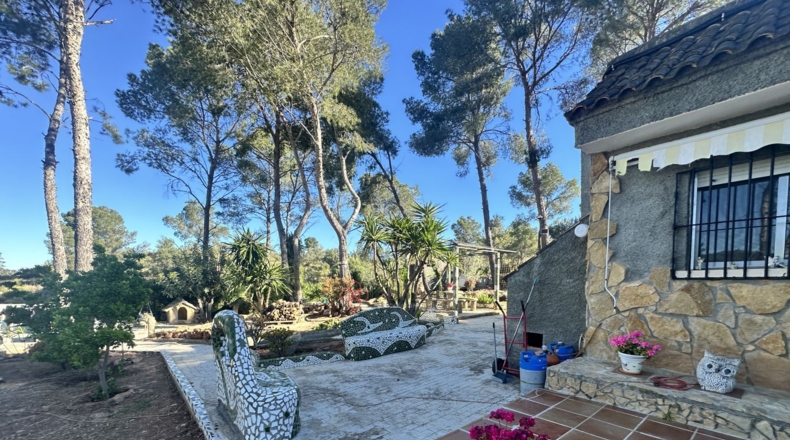 Valencia - Alfara de la Baronía - 1484m2