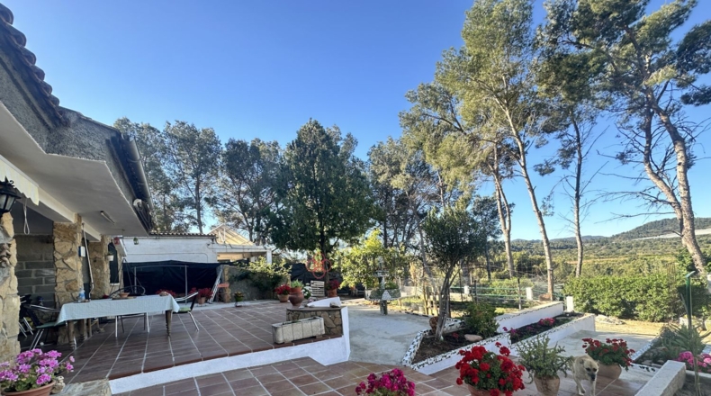Valencia - Alfara de la Baronía - 1484m2