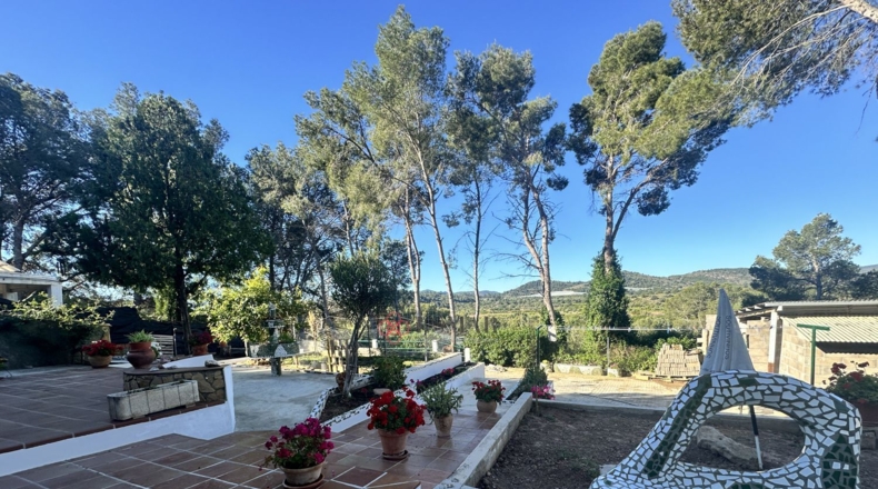 Valencia - Alfara de la Baronía - 1484m2