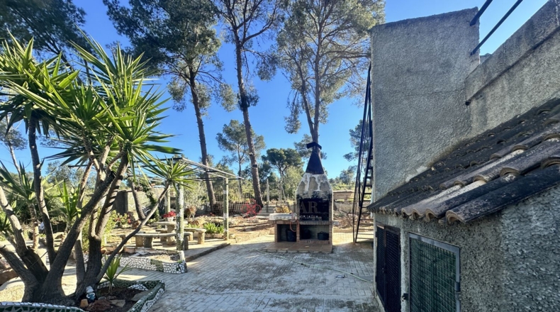 Valencia - Alfara de la Baronía - 1484m2