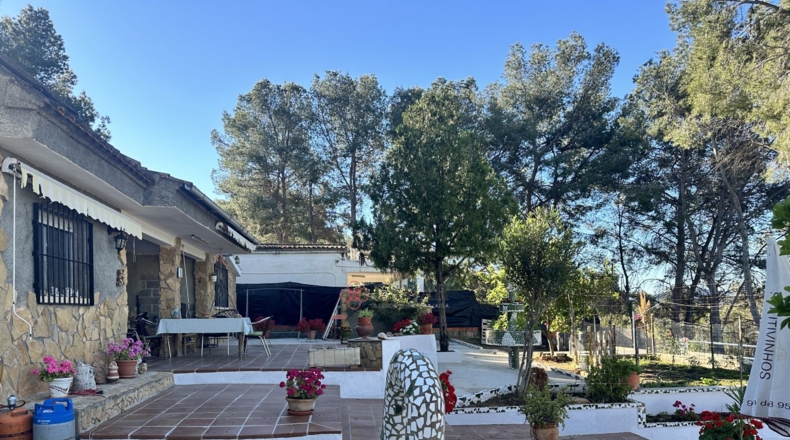 Valencia - Alfara de la Baronía - 1484m2