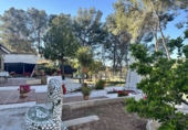 Detached villa with land for sale in Alfara de la Baronia ref: TR176503 photo