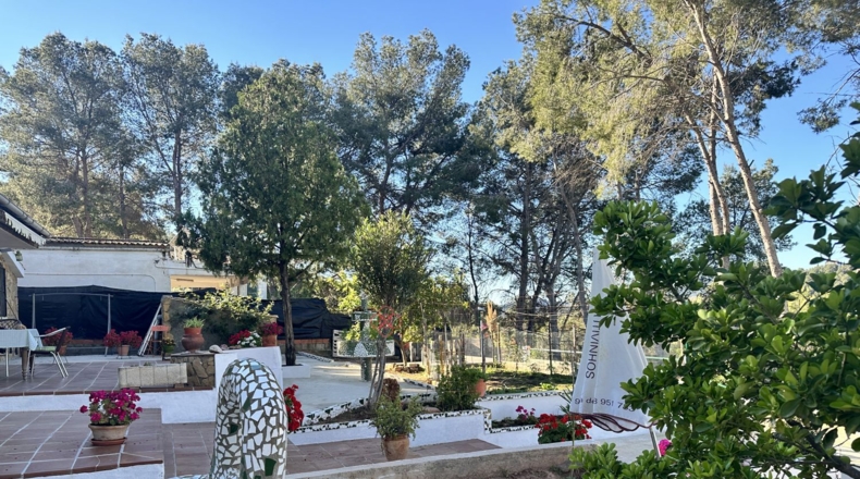 Valencia - Alfara de la Baronía - 1484m2
