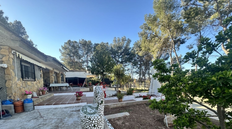 Valencia - Alfara de la Baronía - 1484m2