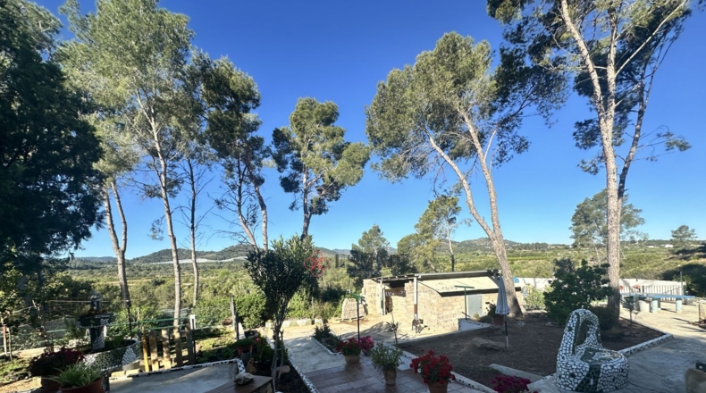 Valencia - Alfara de la Baronía - 1484m2