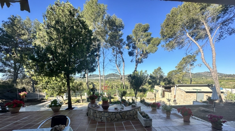 Valencia - Alfara de la Baronía - 1484m2