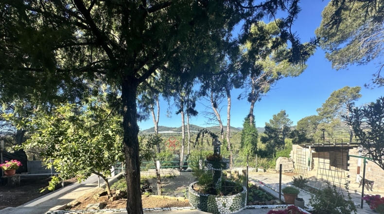 Valencia - Alfara de la Baronía - 1484m2