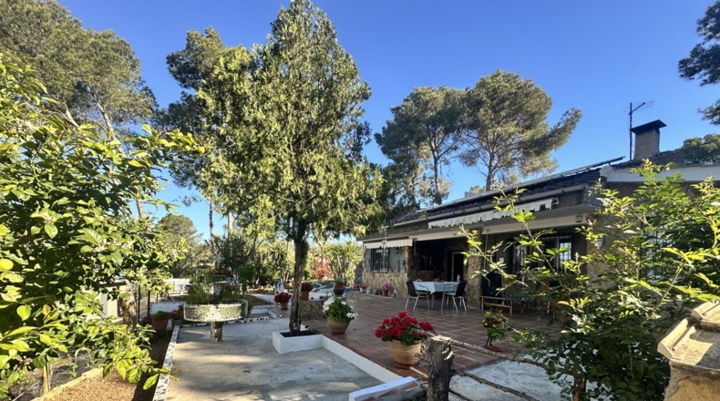 Valencia - Alfara de la Baronía - 1484m2