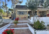 Detached villa with land for sale in Alfara de la Baronia ref: TR176503 photo