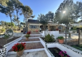 Detached villa with land for sale in Alfara de la Baronia ref: TR176503 photo