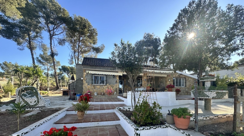 Valencia - Alfara de la Baronía - 1484m2