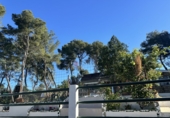 Detached villa with land for sale in Alfara de la Baronia ref: TR176503 photo