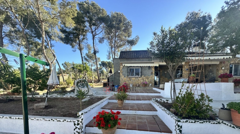 Valencia - Alfara de la Baronía - 1484m2