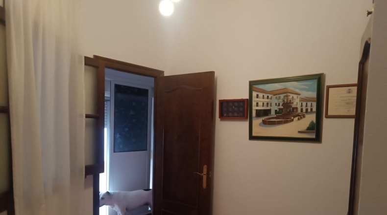 Huelva - Almonte - 530m2
