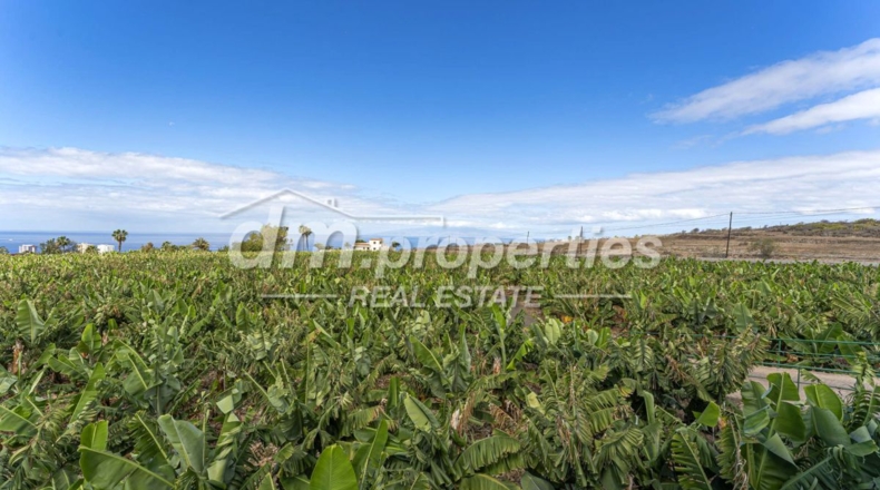 Santa Cruz de Tenerife - Adeje - 28000m2
