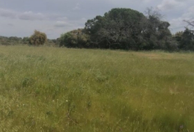Isla Cristina 13351&nbsp;m²