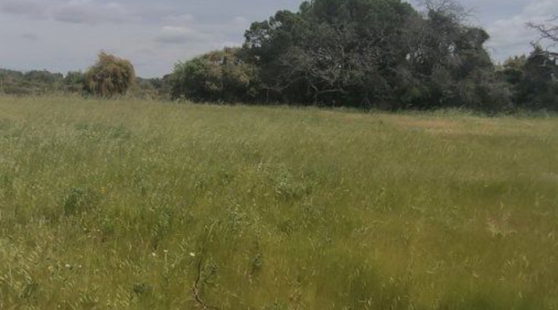 Huelva - Isla Cristina - 13351m2