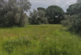 Isla Cristina 13351&nbsp;m²