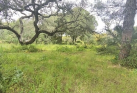 Isla Cristina 13351&nbsp;m²