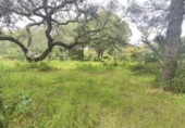 Rural estate for sale in Isla Cristina ref: TR403340 photo