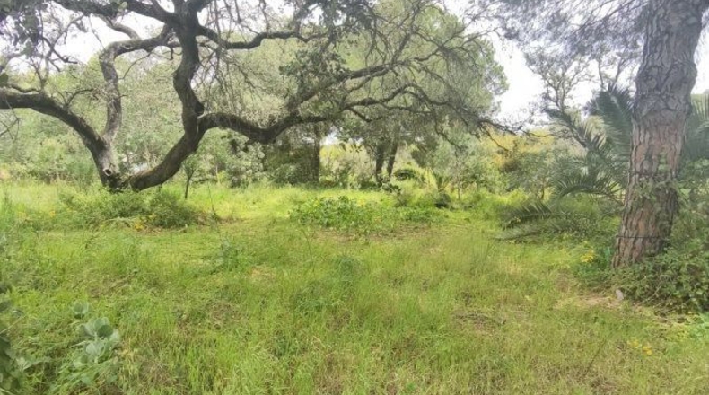 Huelva - Isla Cristina - 13351m2