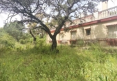 Rural estate for sale in Isla Cristina ref: TR403340 photo