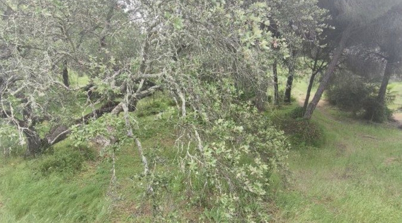 Huelva - Isla Cristina - 13351m2