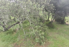 Isla Cristina 13351&nbsp;m²