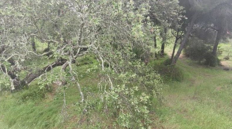 Huelva - Isla Cristina - 13351m2