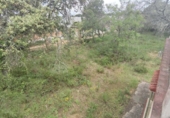Rural estate for sale in Isla Cristina ref: TR403340 photo